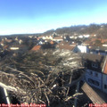14_45-nest.jpg