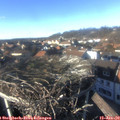 14_50-nest.jpg
