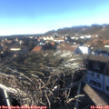 14_55-nest.jpg