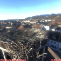 15_20-nest.jpg