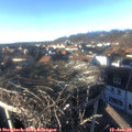 15_25-nest.jpg