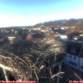 15_45-nest.jpg