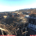 16_00-nest.jpg