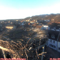16_10-nest.jpg