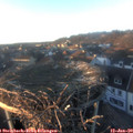 16_20-nest.jpg