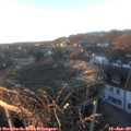 16_25-nest.jpg