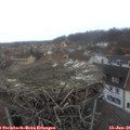 08_20-nest.jpg