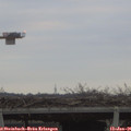 08_30-mast.jpg