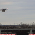 08_35-mast.jpg