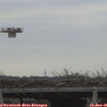09_00-mast.jpg