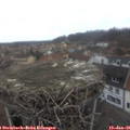 09_00-nest.jpg