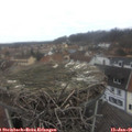 09_05-nest.jpg