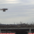 09_10-mast.jpg