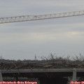 09_50-mast.jpg