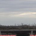 09_55-mast.jpg