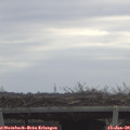 10_05-mast.jpg