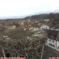 10_05-nest.jpg