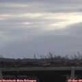 10_15-mast.jpg