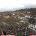10_15-nest.jpg