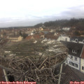 10_20-nest.jpg