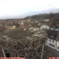 10_25-nest.jpg