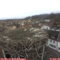 10_35-nest.jpg