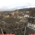 11_00-nest.jpg