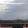 11_05-mast.jpg