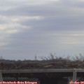 11_15-mast.jpg
