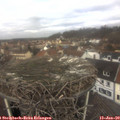 11_20-nest.jpg