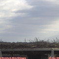 11_30-mast.jpg