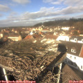 12_00-nest.jpg