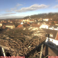 12_25-nest.jpg