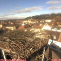 12_30-nest.jpg