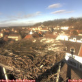 12_35-nest.jpg