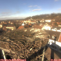 12_40-nest.jpg