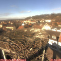 12_50-nest.jpg