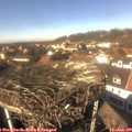 13_30-nest.jpg