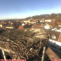 13_45-nest.jpg