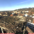 14_10-nest.jpg