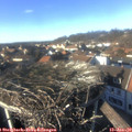 14_40-nest.jpg