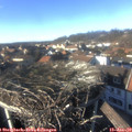 14_45-nest.jpg