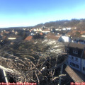 14_55-nest.jpg