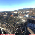 15_00-nest.jpg