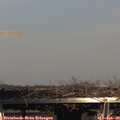 15_10-mast.jpg