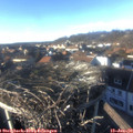 15_20-nest.jpg