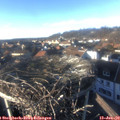 15_25-nest.jpg