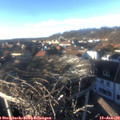 15_30-nest.jpg