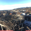 15_40-nest.jpg