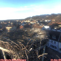 15_50-nest.jpg